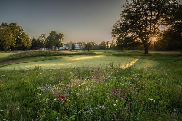 New Putting Green